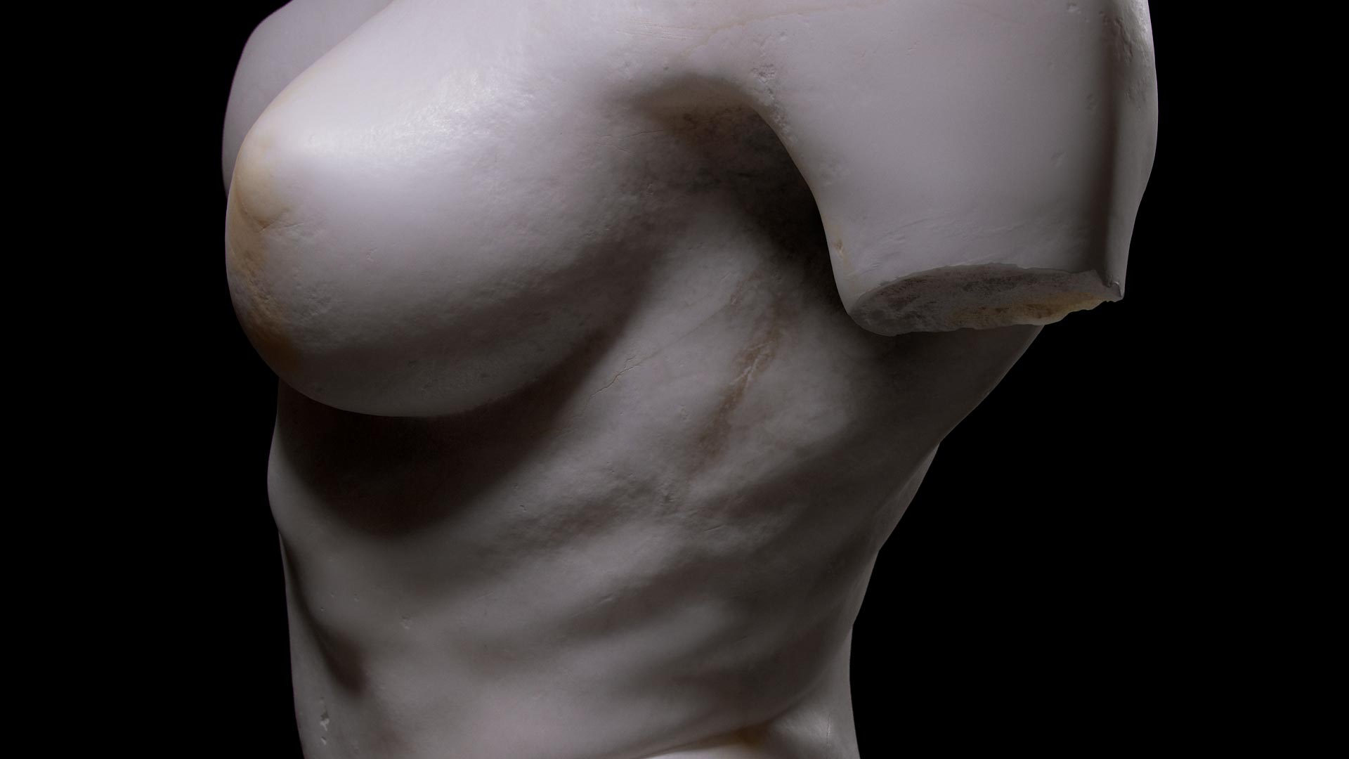 003Torso2FEAT